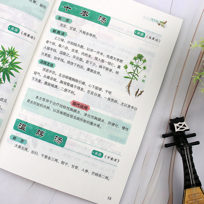 伝統的な中国医学の特別処方と健康ウェルネス |   血液と気 - Herbal Wellness Formula のレビューと価格